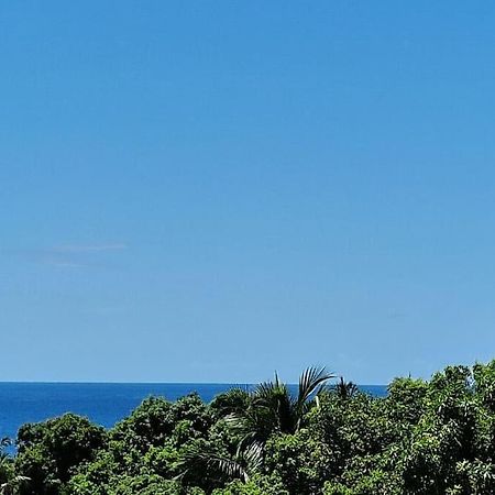 Joli T2 En Bas De Villa Vue Jardin Et Mer Vieux-Habitants Kültér fotó